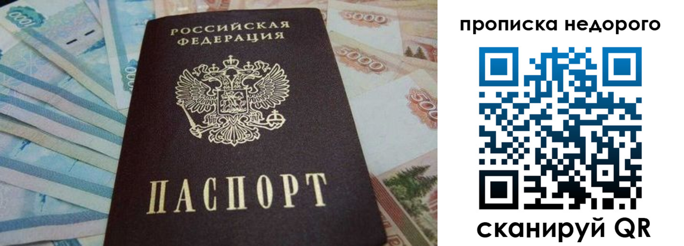 временная регистрация поиск в Брянской области
